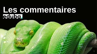 05 les commentaires python (simples et docstrings)