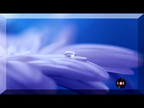 No Need To Beg Pardon Instrumental Version   -Velvet Moon