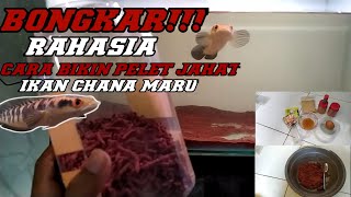 Download lagu INI DIA RAHASIA NYA!! CARA BIKIN PELET CHANA MARU PARA SANG JUARA mp3