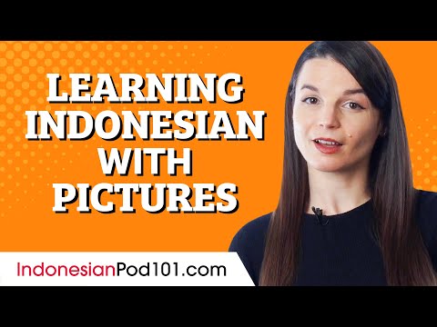 Learn 100s of Indonesian Phrases by Swiping Through Pictures