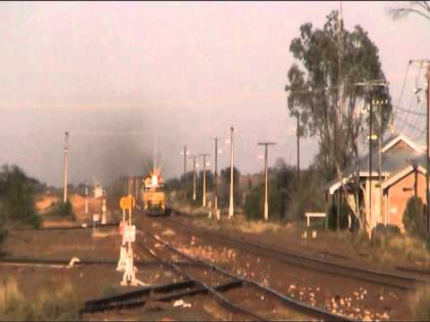 Pacific National NR53 works 5PS6 through Tarcoola with NR57