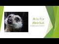 M Is For Meerkat