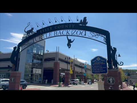 Turtle Back Zoo Lemurs