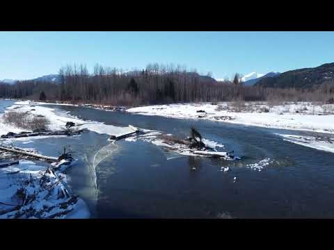 The Wolves of Alaska - Rossano Galante