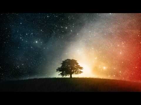 ABA Structure - The Internal