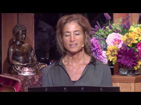 Tara Talks: Practicing the Sacred Pause