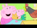 Peppa Pig Meets Granny Pig S Chickens Peppa Pig Official Family Kids Cartoon