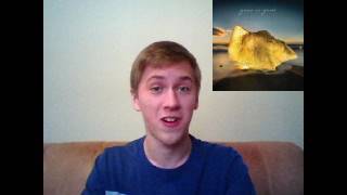 Echolocation - Gone is Gone Review