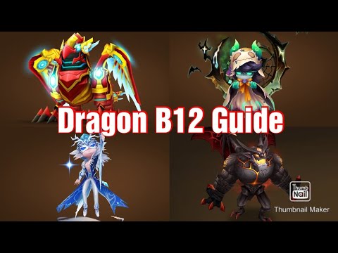 Dragons B12 Step By Step Guide
