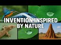 Genius Inventions Inspired By Nature Biomimicry Explained