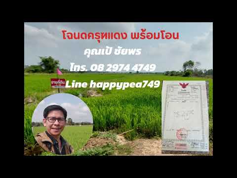 🌟 ที่ดินปากพลี นครนายก 2 ไร่ สีชมพู แปลงสวยติดคลองชลประทาน ทำเลทอง ใกล้เขาใหญ่ | ราคาต่ำกว่าตลาด – รูปที่ 2