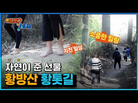 [네모세모] 황방산 황톳길