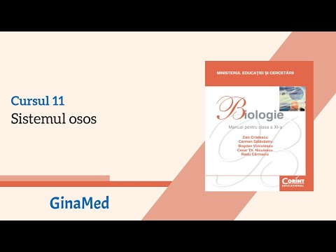 Biologie CORINT: C11. Sistemul osos - LIVE ADMITERE MEDICINĂ