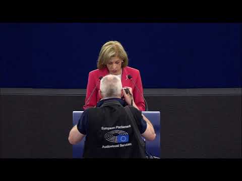 Kyriakides EU debates on the European Citizens' Initiative End the cage age