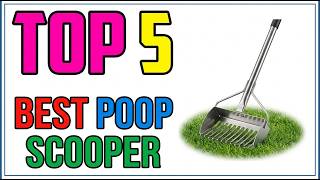 TOP 5 Best Dog Poop Scooper for Grass 2026