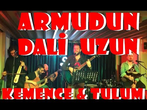 ARMUDUN DALİ UZUN - MUSTAFA SAİT ÇELİK