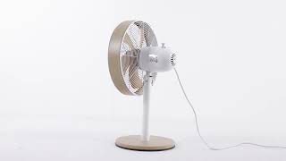 Miniatura vídeo YouTube 1