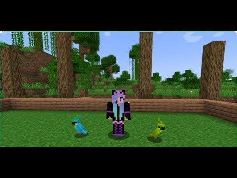 Minecraft Ep: 2 Monsters and Parrots