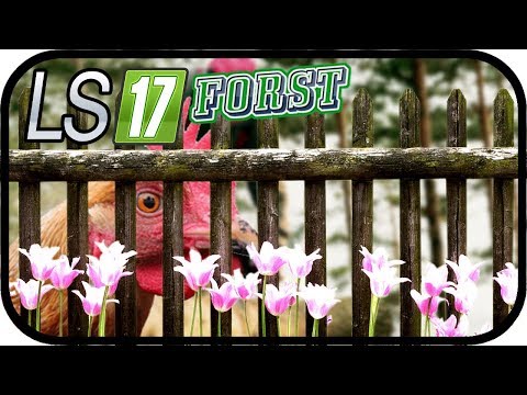 LS17 FORST Pacific Logging - RECHNUNG Hühnerzaun und ANGEBOT für die MAUER #080 ★ Farming Simulator