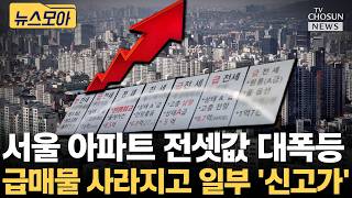 부동산 규제하더니 서울 아파트 전세값 폭등 [티조Clip]