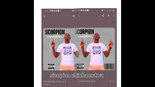 Download lagu SICOPION CHINHAMUTWA UNONDIDHA OFICIL  mp3