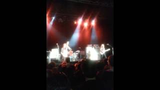 The Grey California Breed Paramount