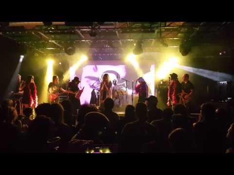 Saturn's Prince Tribute  - Purple Strain - When Doves Cry