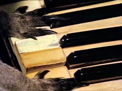 Skippy The Bush Kangaroo