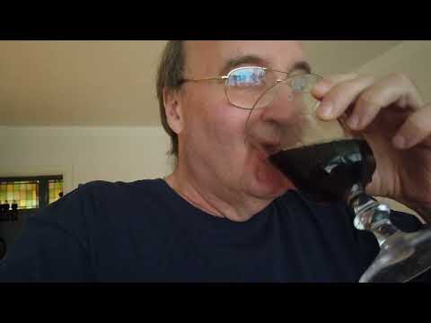 MongoTV_9300 - LEGER MED FLIGHTRADAR24 - Del 45 - ZYB Lily Jet - Copenhagen-Toronto - 6.300 Km