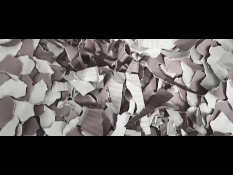 Stopped And Framed In Motion (SHORT FILM)