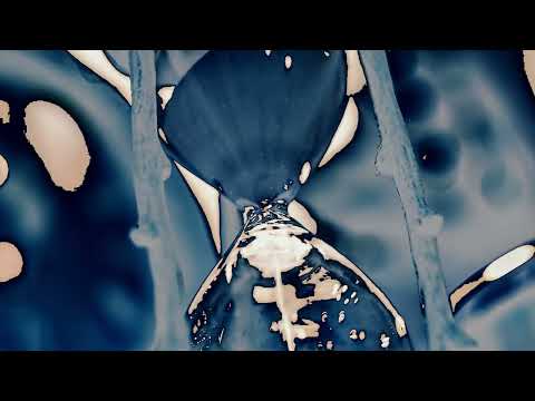 Indiferent  - Timpul trece