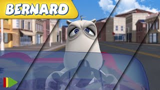 🐻‍❄️ BERNARD  | Collection 23 | Full Episodes | VIDEOS and CARTOONS FOR KIDS