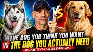 Top 5 Dogs You Think You Want… vs What You Actually Need