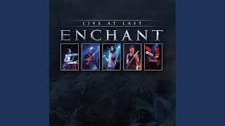 Progtology (live)