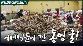 깐 만큼 일당 가져간다! 저걸 누가 까나 했더니 우리 어머님들이 다 까셨군요! #통영굴 #하프셀 #굴 #깐굴
