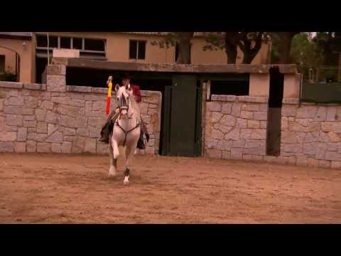 Horse of Kings, Thief of Hearts