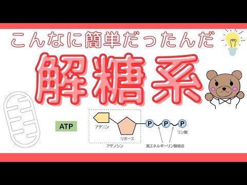 ヘキソースについて詳しく解説