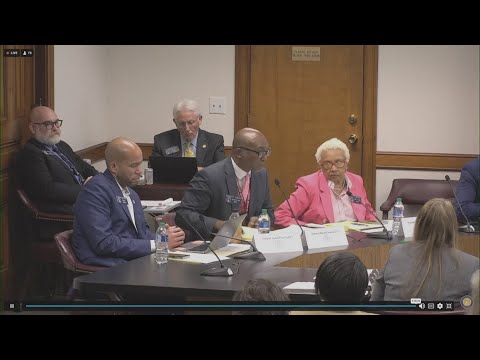 Fani Willis investigation Georgia Senate hearing | Part 5