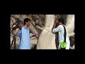 Zehrgaan Pershtag Dil Inayat Gul Balochi Song