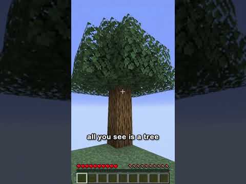 skyblock in 44 seconds