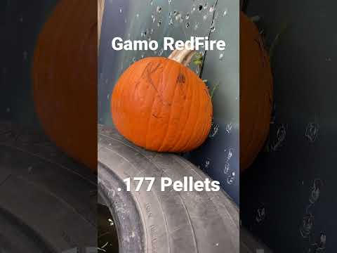 Gamo RedFire .177 Pellets 💥#pelletgun #airrifleshooting #plinking #pellets #.177 #outdoors
