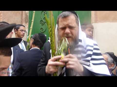 סיבוב שערים - שער הברזל - הרב רפאל קוק - סוכות תשפ"ז