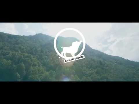 Balla coi Cinghiali 2016 sta arrivando!