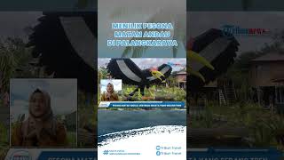 Menilik Pesona Matan Andau di Palangkaraya, Tempat Wisata Baru Berkonsep Refresh and Recharge