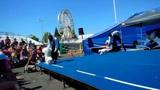 Olate Dog's - Winner of America's Got Talent, #2 of 3 !