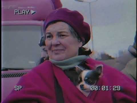 Make Your Move - Rick Springfield