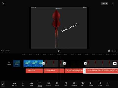 Colossal squid vs great white shark