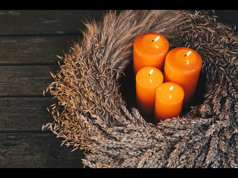 KWS Adventsschnack - Schwerpunkt Weizen