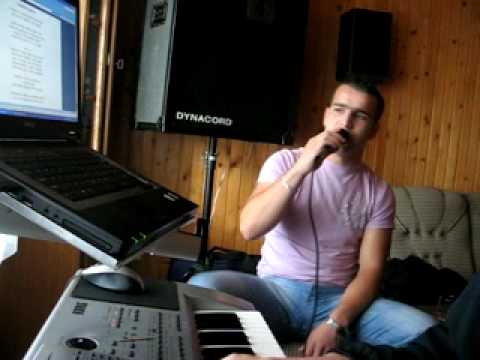 Damjan Jerinic  Lepotica grada