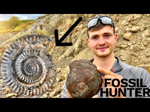 GIANT Fossil Removed From SHALE! (And Prepared)! | Fossil Hunter